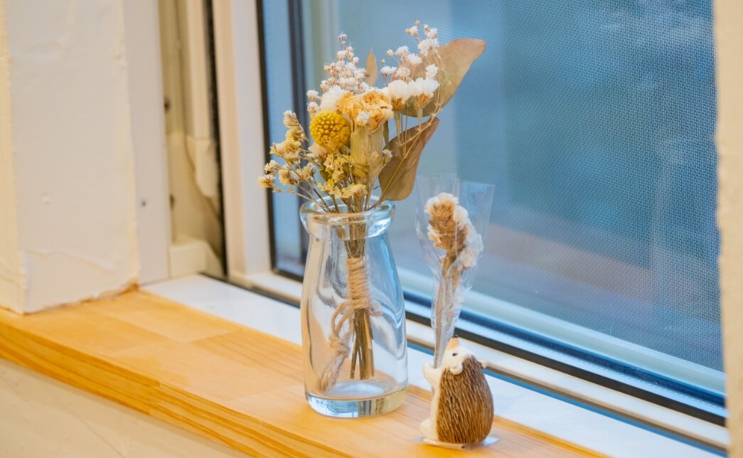 兄弟猫を２匹保護しています